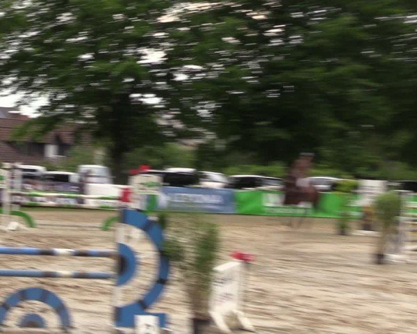 Reitturnier Iserlohn-Kalthof 2024