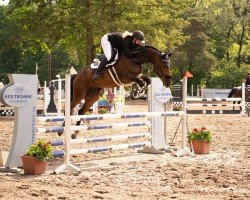jumper I'm Special T (Westphalian, 2018, from I'm Special de Muze)