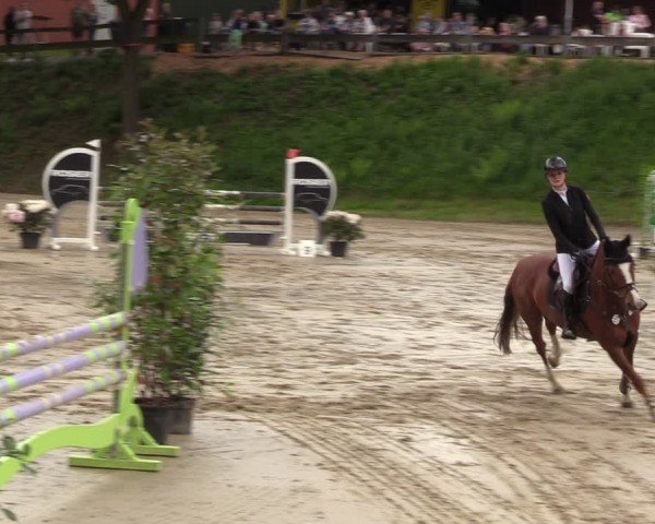 Reitturnier Iserlohn-Kalthof 2024