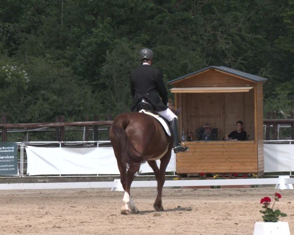 Reitturnier Frechen-Grefrath - Sonnenhof 2024