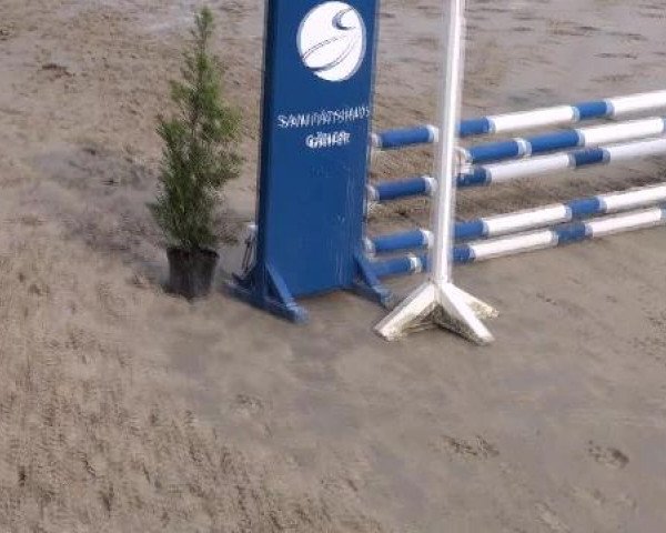 Reit- und Springturnier Münster-Roxel 2012