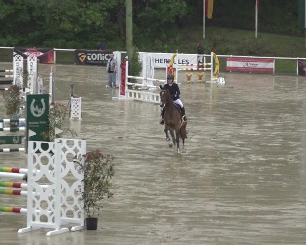 Reitturnier Siegen-Weidenau  2024