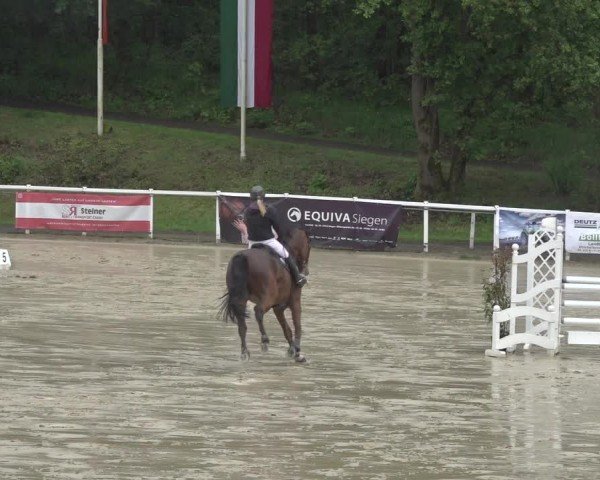 Reitturnier Siegen-Weidenau  2024