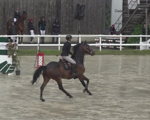 Reitturnier Siegen-Weidenau  2024