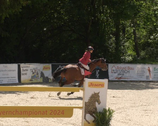 Reitturnier Karlsfeld/Obb. 2024