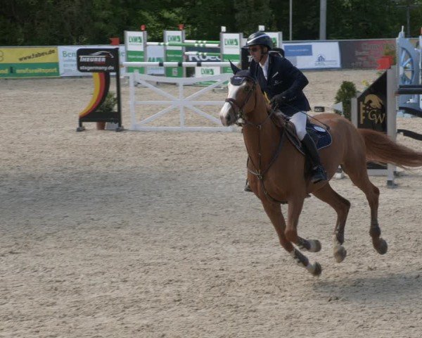 Reitturnier Karlsfeld/Obb. 2024