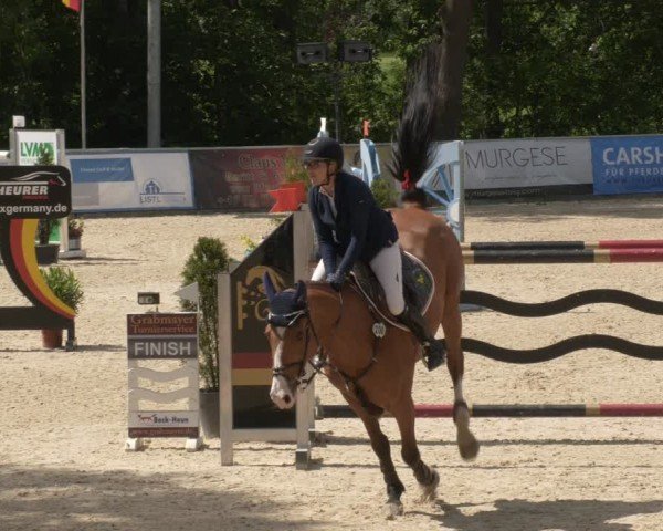 Reitturnier Karlsfeld/Obb. 2024
