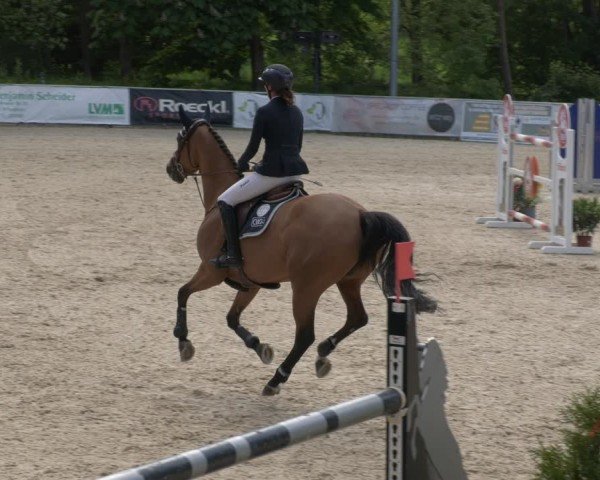 Reitturnier Karlsfeld/Obb. 2024