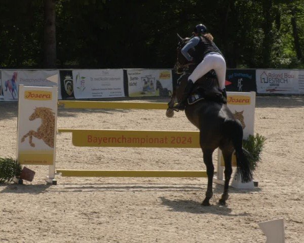 Reitturnier Karlsfeld/Obb. 2024