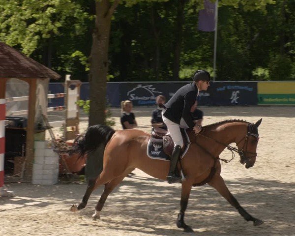 Reitturnier Karlsfeld/Obb. 2024