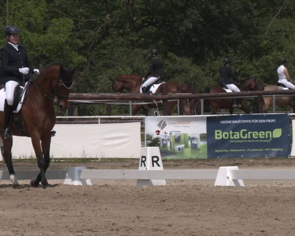 Reitturnier Frechen-Grefrath - Sonnenhof 2024