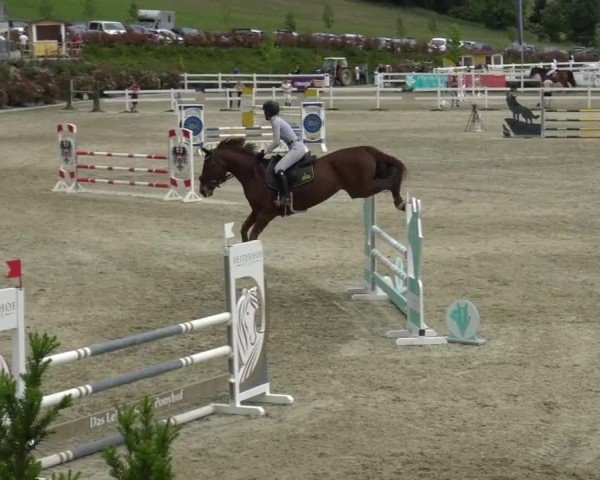 Reitturnier St. Margarethen 2024