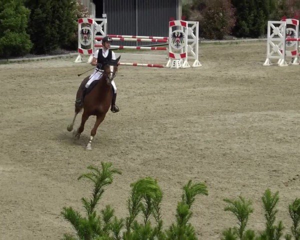 Reitturnier St. Margarethen 2024