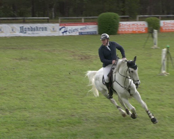 Reitturnier Cottbus-Sielow 2024