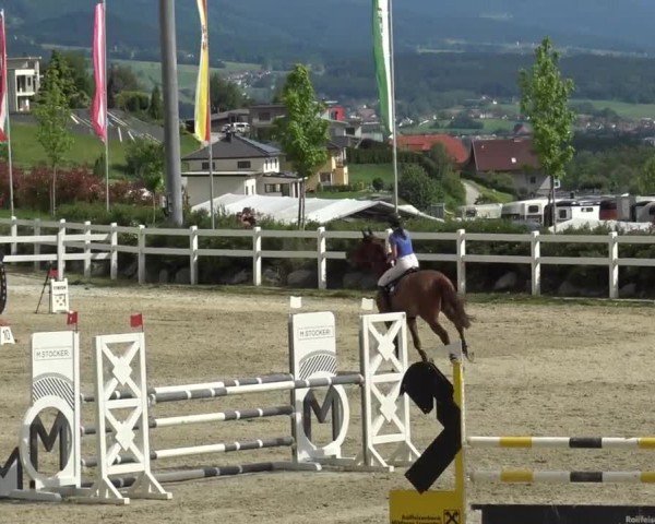 Reitturnier St. Margarethen 2024