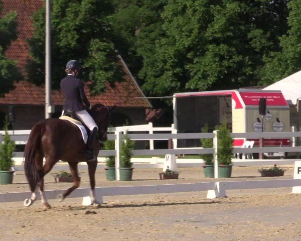Reitturnier Everswinkel 2024