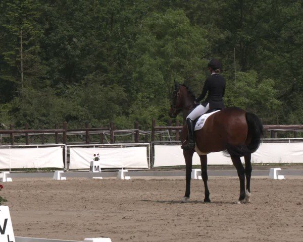 Reitturnier Frechen-Grefrath - Sonnenhof 2024