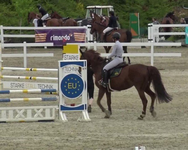 Reitturnier St. Margarethen 2024