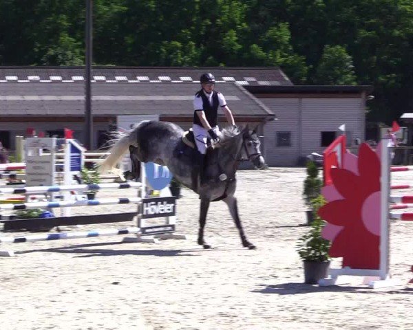 Reitturnier Kropp 2024