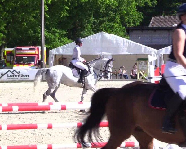 Reitturnier Kropp 2024