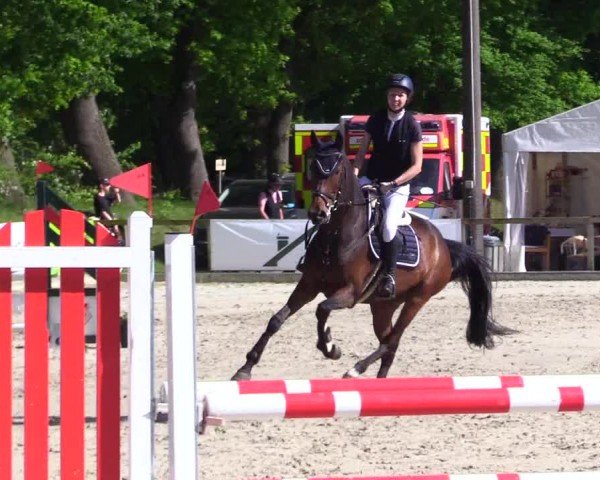 Reitturnier Kropp 2024