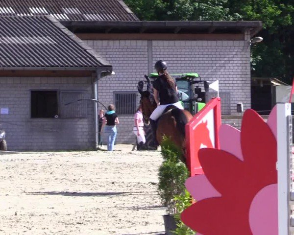 Reitturnier Kropp 2024