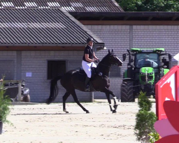 Reitturnier Kropp 2024