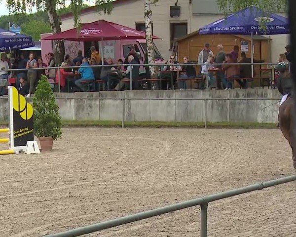 Reitturnier Landenhausen 2024