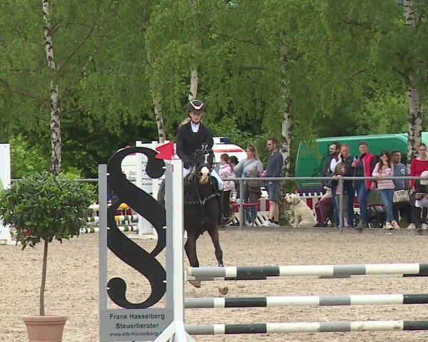 Reitturnier Landenhausen 2024