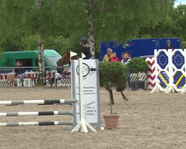 Reitturnier Landenhausen 2024