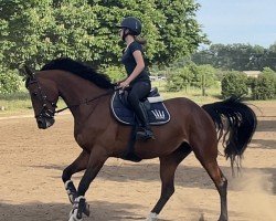 jumper Miss Killy (KWPN (Royal Dutch Sporthorse), 2017, from Eldorado van de Zeshoek)