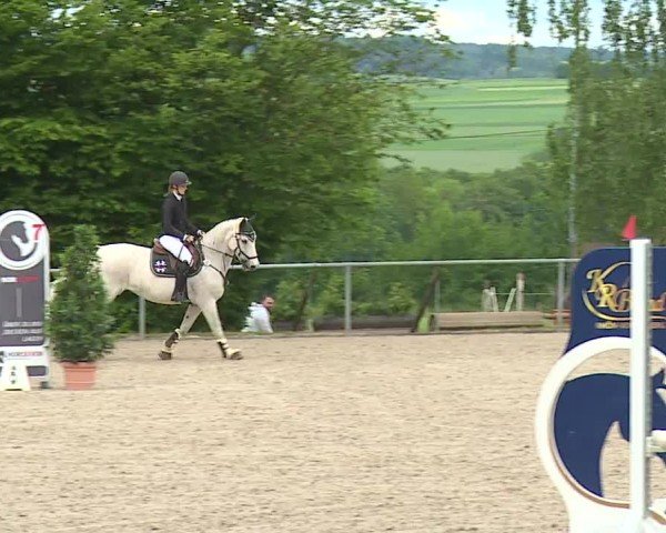 Reitturnier Landenhausen 2024