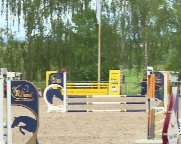 Reitturnier Landenhausen 2024