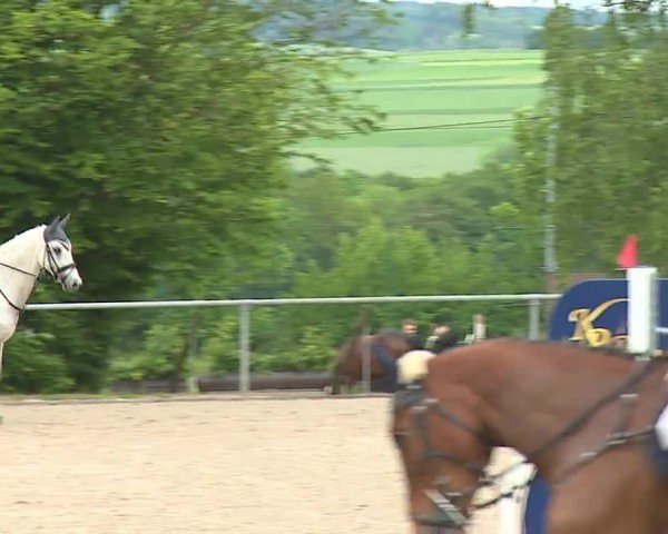Reitturnier Landenhausen 2024