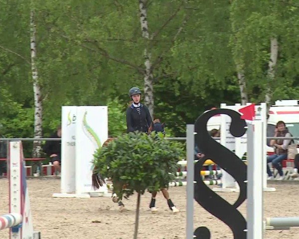 Reitturnier Landenhausen 2024