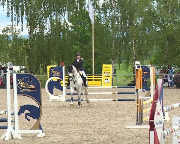 Reitturnier Landenhausen 2024