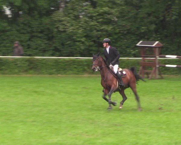 Reitturnier Westeregeln 2024