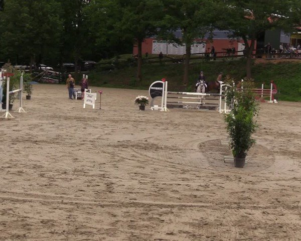 Reitturnier Iserlohn-Kalthof 2024
