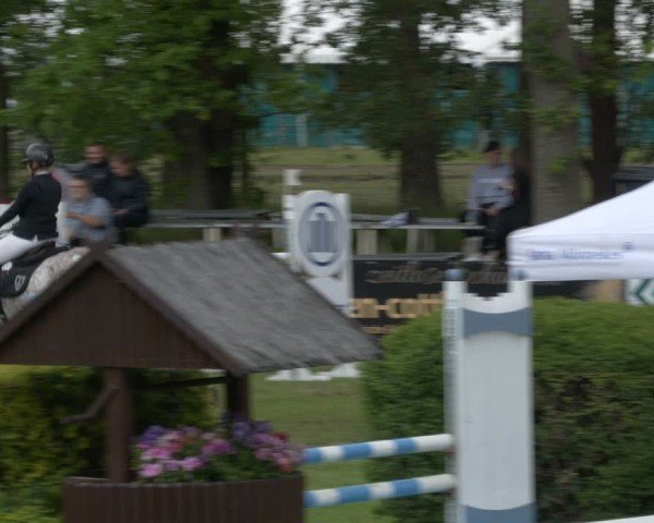 Reitturnier Cottbus-Sielow 2024