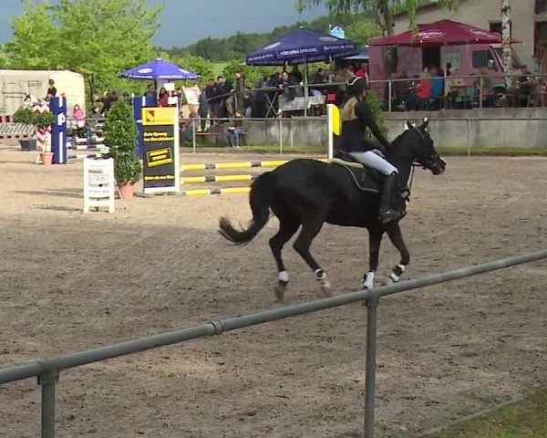 Reitturnier Landenhausen 2024