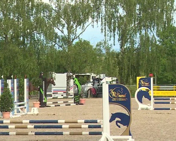 Reitturnier Landenhausen 2024