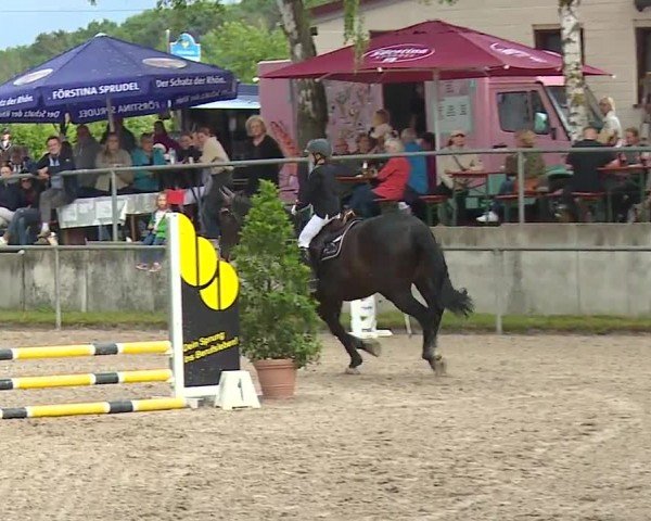 Reitturnier Landenhausen 2024