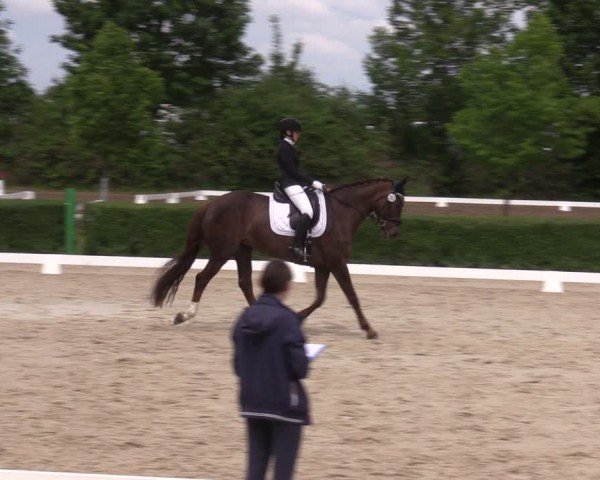 Reitturnier Westeregeln 2024