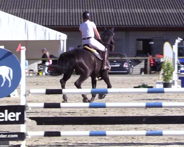 Reitturnier Kropp 2024