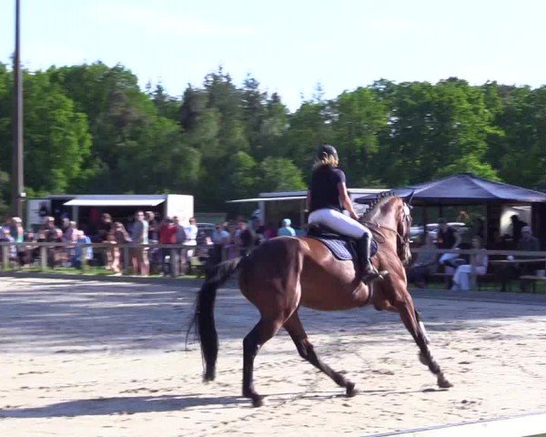 Reitturnier Kropp 2024