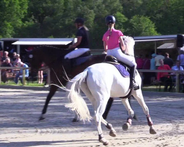 Reitturnier Kropp 2024