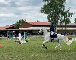 Springpferd Diamond (Pony ohne Rassebezeichnung, 2011)