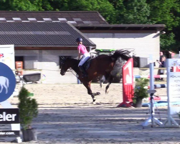 Reitturnier Kropp 2024