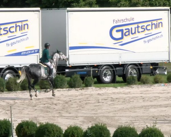 Basler Pferdesporttage Schänzli 2021