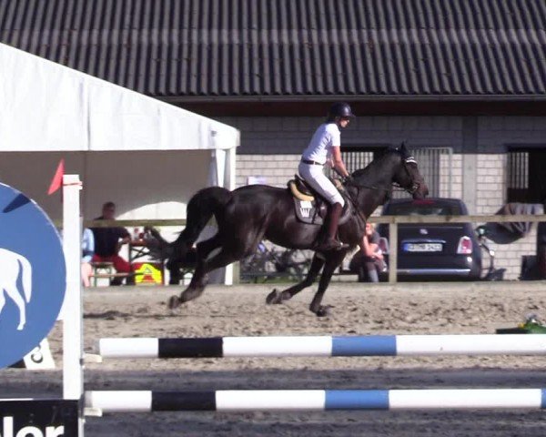 Reitturnier Kropp 2024